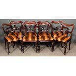 A set of eight early Victorian mahogany balloon back dining chairs (including two armchairs) with