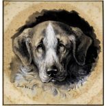 Louis Wain (1860-1939) - Ink and watercolour - Head of Newfoundland dog, 7ins x 6.5ins, signed (