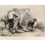 After Thomas Sydney Cooper (1803-1902) - Folio of nineteen lithographs - "Groups of cattle, from