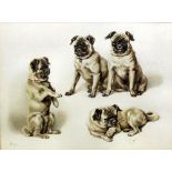 E. M. Span - Watercolour - "Study of pugs", 9.5ins x 12.75ins, in oak frame and glazed Provenance: