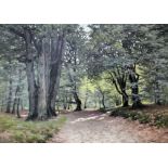 Joseph De Ruysscher (19th/ 20th Century Continental School) - Oil painting - Woodland track with