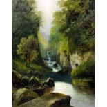 David Motley (19th/20th Century) - Oil painting - "Fairy Glen, Betws Y Coed", canvas 35.5ins x 27.