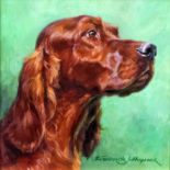 ***Frederick J. Haycock (born 1948) - Oil painting - "Irish Eyes" - Head of an Irish Setter, 6.