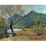 MacDonald Bruce (20th Century British) - Oil painting - "Llanberis, Snowdonia", board 19ins x 24ins,