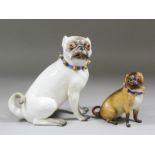 A 19th Century Meissen porcelain model of a seated pug dog with blue collar, 8.5ins high (blue