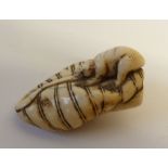 JAPANESE MEIJI PERIOD CARVED IVORY NETSUKE, modelled as a toad on a gourd, 2 1/4" x 1 1/4" (5.7cm