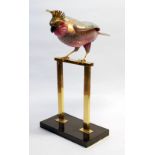 MODERN ITALIAN PAINTED PORCELAIN AND GILT METAL MODEL OF A COCKATOO, modelled on gilt perch and