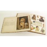 EDWARDIAN SCRAP BOOK, containing cut out illustrations, AND 'PICTURES BY LANDSEER', printed on cloth