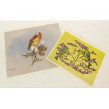 IN EXCESS OF SEVEN HUNDRED COLOUR PRINTS OF BIRDS, unframed, 8" x 10" (20.3cm x 25.4cm) and
