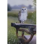 NIGEL ARTINGSTALL (b.1963)  THREE ARTIST SIGNED COLOUR PRINTS Owls, a limited edition of 195