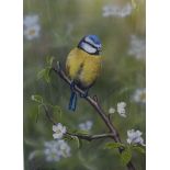 NIGEL ARTINGSTALL (b.1963)  FOUR ARTIST SIGNED COLOUR PRINTS 'Great Tits', 'Long Tailed Tit', '