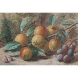 C.H. SLATER (19th Century) BODYCOLOUR DRAWING A pair, Still lifes of fruit each against a mossy bank