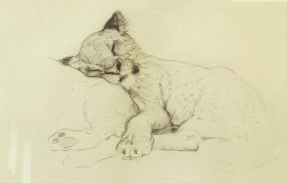 ORIGINAL ETCHING OF A SLEEPING LION CUB,  4 ½" x 7" (11.4cm x 17.8cm),  AND A REPRODUCTION PRINT