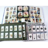 LARGE QUANTITY OF CIGARETTE CARDS, including FOOTBALL, MOTHS & BUTTERFLIES, BIRDS, BOY SCOUTS