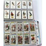 ALBUM OF CIGARETTE CARDS, including; OGDEN'S "BIRDS EGGS" (COMPLETE), OGDEN'S "BIRDS EGGS CUT