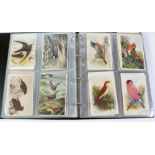 ALBUM CONTAINING AN EXCESS OF 200 ORNITHOLOGICAL POSTCARDS, British Museum, Winifred Austen, D.M.