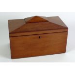 19TH CENTURY MAHOIGANY TEA CADDY OF SARCOPHAGUS  FORM WITH TWIN LIDDED COMPARTMENTS TO THE