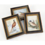 THREE EARLY TWENTIETH CENTURY HOGARTH FRAMED EMBOSSED PLASTER AND WATERCOLOUR PAINTED ORNITHOLOGICAL