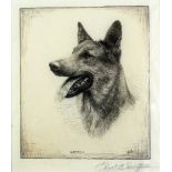 DAVID G?? Signed Original Etching Dog portrait 6" x 5 ½" (15.2cm x 13.9cm) and F.H.S Signed Original