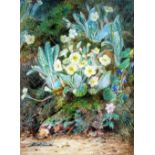 A. M. FITZJAMES WATERCOLOUR DRAWING Primroses on a mossy bank Signed  14" x 10 1/2" (35.6cm x 26.