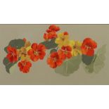 ATTRIBUTED TO NANCY PICKUP GOUACHE DRAWING ON BUFF PAPER  Still life - Nasturtiums  13 1/2" x 7 1/2"