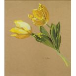 NANCY PICKUP GOUACHE DRAWING ON BUFF PAPER Still life - Spring of yellow tulips Signed 15 1/2" x