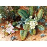 H.C. (PROBABLY HENRY CLARE) WATERCOLOUR DRAWING Still life - Primroses on a Mossy Bank Monogrammed