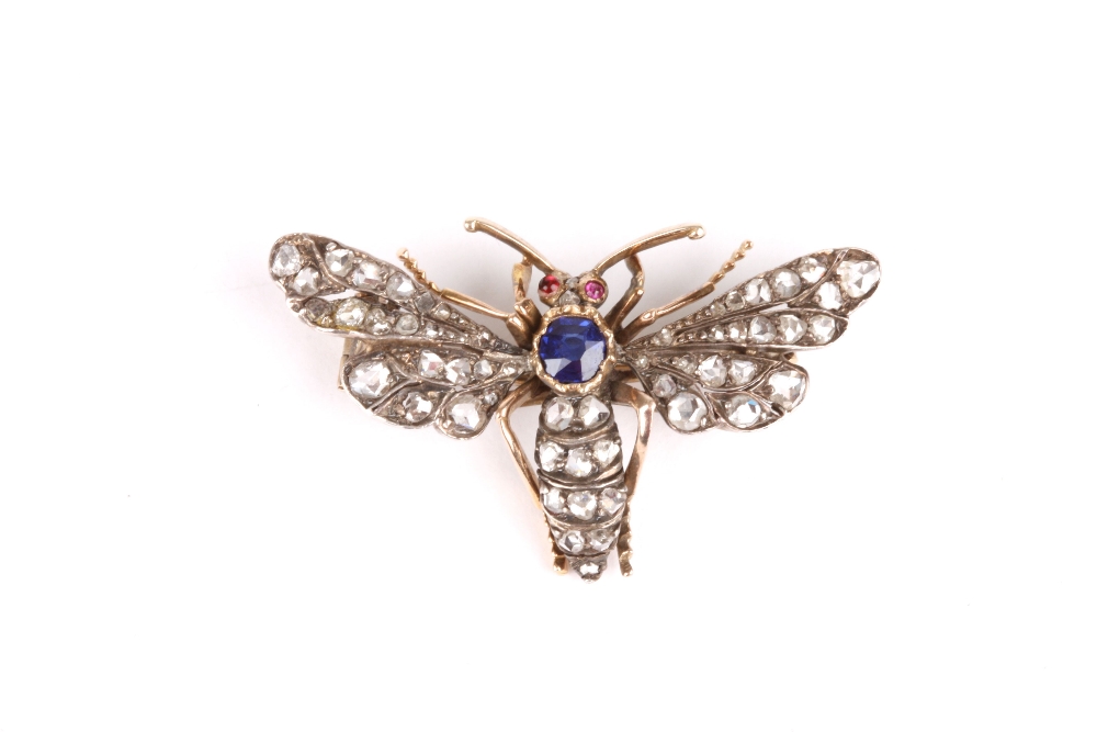 A Victorian brooch modelled as an insect, the insect with cabouchon ruby set eyes, sapphire to the