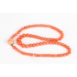 A Victorian coral bead necklace
the graduated beads with yellow gold clasp, Largest bead 9mm wide,