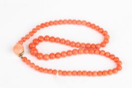 A Victorian coral bead necklacethe graduated beads with yellow gold clasp, Largest bead 9mm wide,