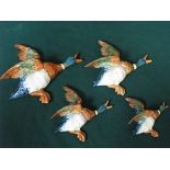 SET OF FOUR BESWICK GRADUATING CERAMIC DUCK WALL PLAQUES