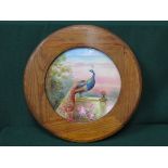 FRAMED HANDPAINTED CIRCULAR PORCELAIN PANEL DEPICTING A PEACOCK, SIGNED W BIRBECK,
