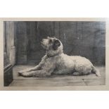 HERBERT DICKSEE, FRAMED PENCIL SIGNED MONOCHROME ETCHING DEPICTING A TERRIER DOG,