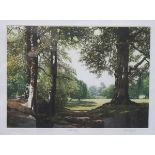 MARK SPAIN, FRAMED SPECIAL EDITION ARTIST PROOF PENCIL SIGNED POLYCHROME PRINT- WOODLAND GLAD,