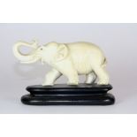 An early 20th century carved Indian ivory figure of an elephant, L. 10cm.