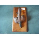 An Austrian cold painted bronze letter rack/stationery clip, modelled as a pheasant, on a walnut
