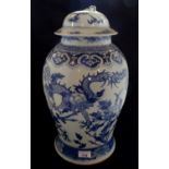 A Chinese blue and white ginger jar of i