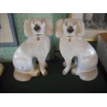 A pair of Staffordshire poodles, each having separated front legs with painted eyes and gilt finish,