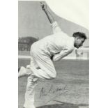 Cricket Legendary International Fast Bowlers collection 25 top cricket names signed on cards,