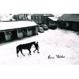 Brian Fletcher Very Rare Phot Of Grand National Winner 'Red Alligator' Hand Signed 12 X 8 photo.