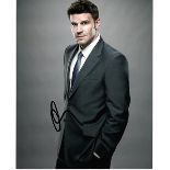 David Boreanaz 8x10 c photo of David from Bones, signed by him in NYC, May, 2015. Good condition