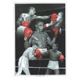 Herol "Bomber" Graham signed photo. 16" x 12" high quality colour montage photograph signed by boxer
