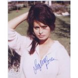 Sophia Loren. 10 x 8 inch signed portrait. Excellent.