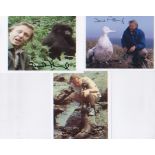 Sir David Attenborough. A trio of p/c sized signed photos in nature shots including one of his