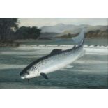 A Roland Knight (British, fl. 1810-1840) Salmon on the Fly signed lower right "A Roland Knight"