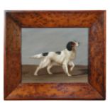 English School (20th Century)  Study of a Setter bears signature lower left "G Earl (?)" oil on