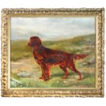 English School  (early 20th Century) Study of an Irish Setter in a moorland landscape indistinctly