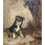 Frank Paton (British, 1856-1909) Study of a terrier puppy with a frog in a garden signed and dated