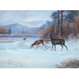 § Harold Frank Wallace (British, 1881-1962) Roe deer in the snow signed lower left "Frank Wallace