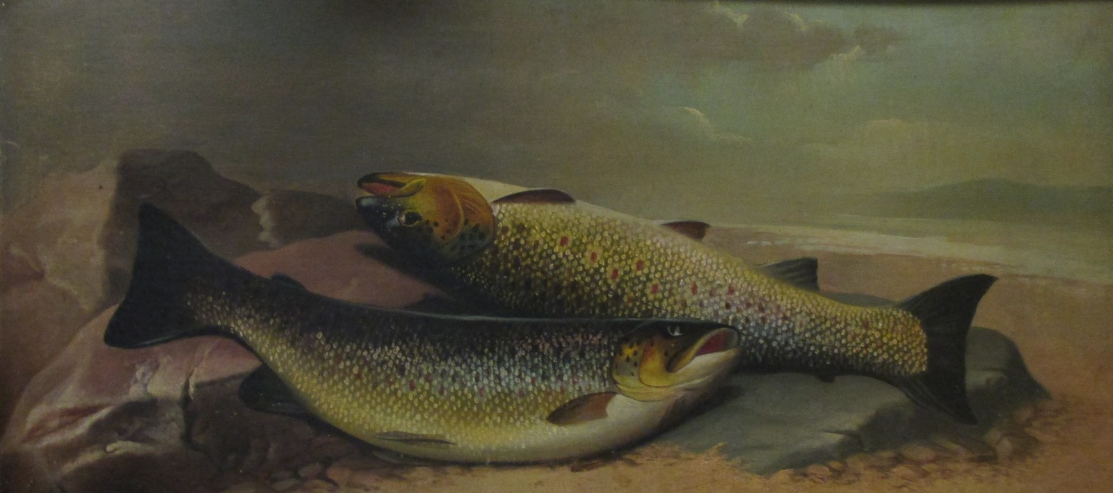 John Bucknell Russell (British, early 20th Century), pair of trout, signed lower right J.Russell,